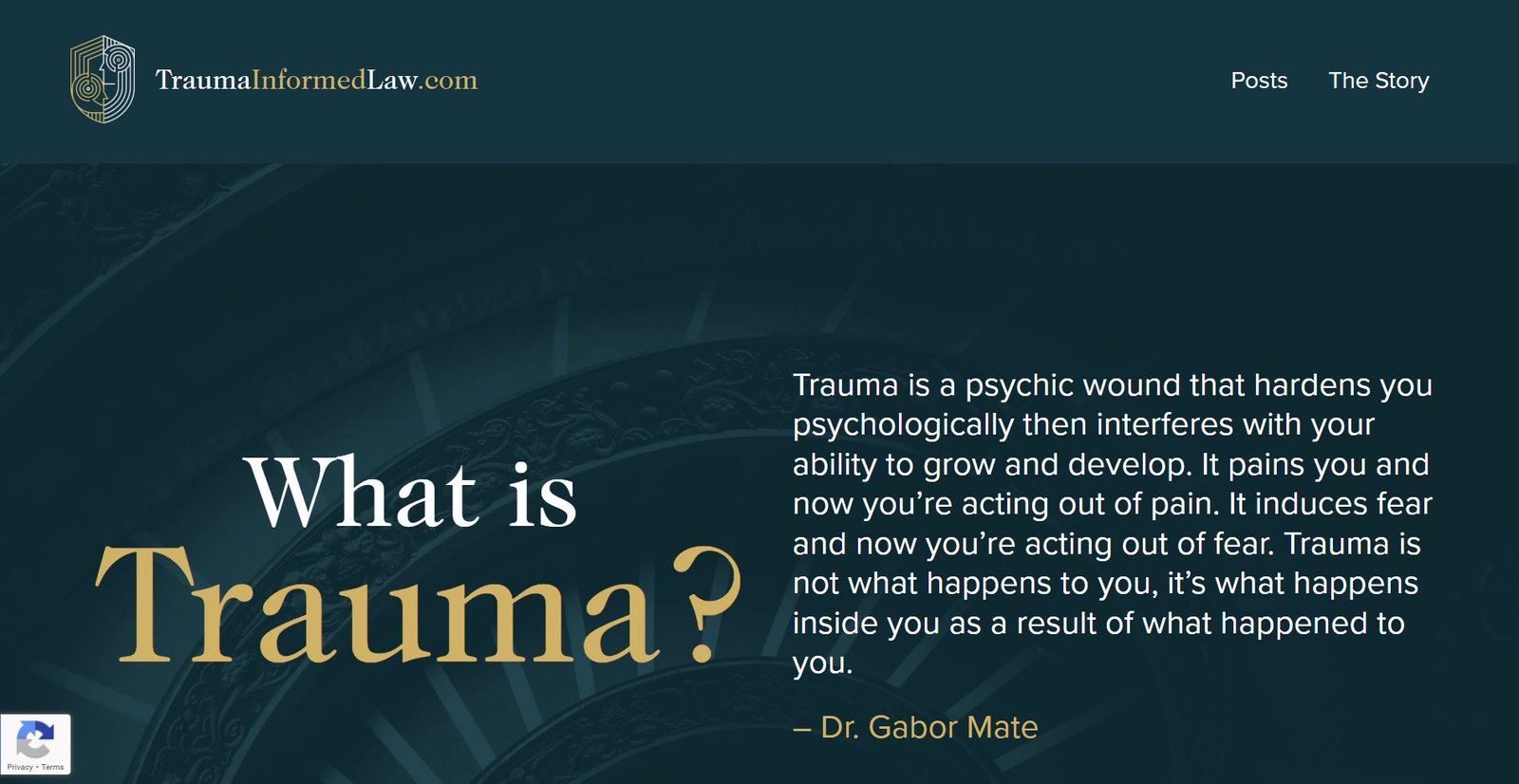 Trauma Informed Law